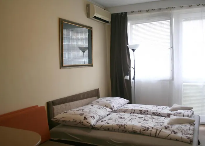 Victor Hugo Central Apartment