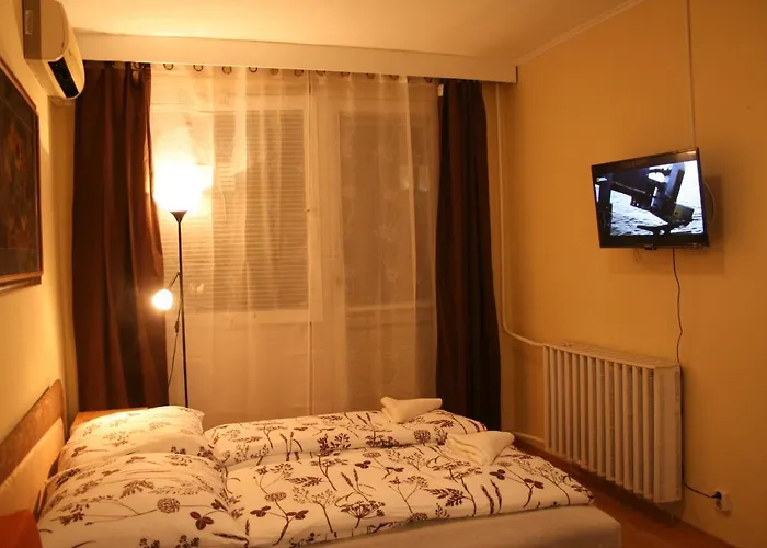 Victor Hugo Central Apartment