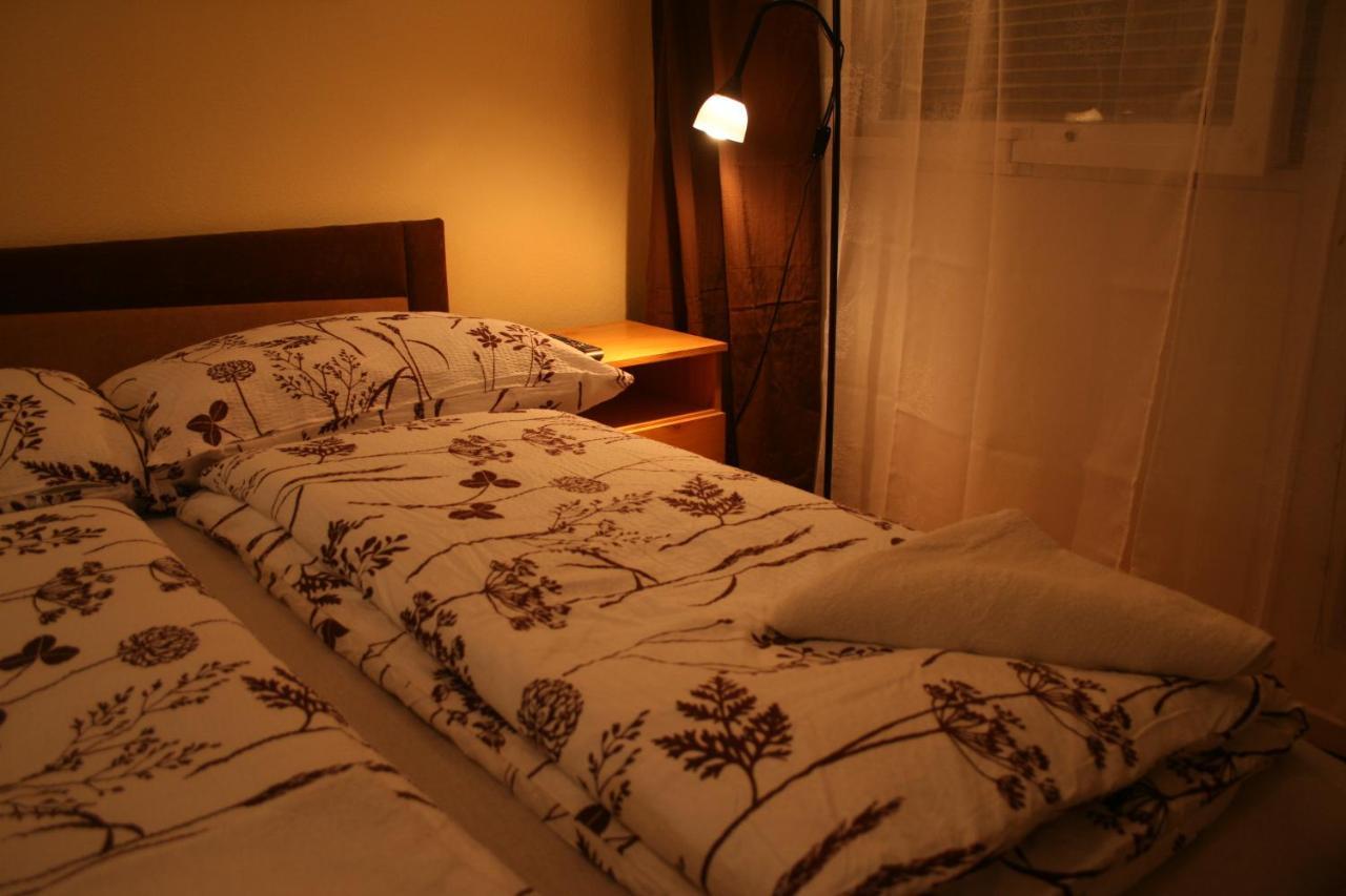 Appartement Victor Hugo *